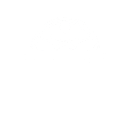 Auto Hobbyist